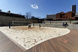 Georgia State Sand Volleyball: Uncovering a Winning Legacy and Inspiring Future Volleyball Hub Your Guide to the Game You Love Play, Train, and Compete Georgia State Sand Volleyball: Uncovering a Winning Legacy and Inspiring Future | Volleyball Hub Your Guide to the Game You Love Play, Train, and Compete