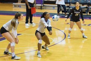 Unveiling the Secrets of Abilene Christian University Volleyball: Discoveries and Insights Volleyball Hub Your Guide to the Game You Love Play, Train, and Compete Unveiling the Secrets of Abilene Christian University Volleyball: Discoveries and Insights | Volleyball Hub Your Guide to the Game You Love Play, Train, and Compete