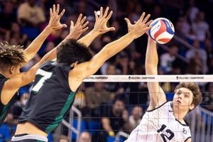 Unveil the Secrets of CSULB Men's Volleyball: A Journey into Excellence | Volleyball Hub Your Guide to the Game You Love Play, Train, and Compete