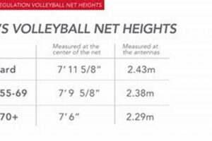 Unveiling Secrets: Men's Volleyball Height for Dominance on the Court Volleyball Hub Your Guide to the Game You Love Play, Train, and Compete Unveiling Secrets: Men's Volleyball Height for Dominance on the Court | Volleyball Hub Your Guide to the Game You Love Play, Train, and Compete