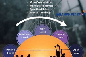 Unveiling the Club Volleyball Ladder: Levels, Skills, and Success Volleyball Hub Your Guide to the Game You Love Play, Train, and Compete Unveiling the Club Volleyball Ladder: Levels, Skills, and Success | Volleyball Hub Your Guide to the Game You Love Play, Train, and Compete