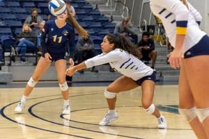 Uncover the Thrilling World of Gulf Coast State Volleyball Volleyball Hub Your Guide to the Game You Love Play, Train, and Compete Uncover the Thrilling World of Gulf Coast State Volleyball | Volleyball Hub Your Guide to the Game You Love Play, Train, and Compete