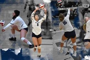 Unleash Your Volleyball Potential at Columbia's Premier Camp Volleyball Hub Your Guide to the Game You Love Play, Train, and Compete Unleash Your Volleyball Potential at Columbia's Premier Camp | Volleyball Hub Your Guide to the Game You Love Play, Train, and Compete