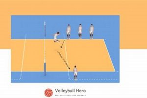 Unleash the Secrets of Volleyball Team Drills: Mastering Teamwork and Excellence Volleyball Hub Your Guide to the Game You Love Play, Train, and Compete Unleash the Secrets of Volleyball Team Drills: Mastering Teamwork and Excellence | Volleyball Hub Your Guide to the Game You Love Play, Train, and Compete