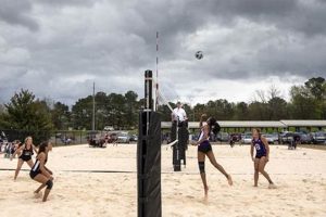 Unveiling the Enchanting World of Jacksonville Beach Volleyball: Discoveries and Insights Await Volleyball Hub Your Guide to the Game You Love Play, Train, and Compete Unveiling the Enchanting World of Jacksonville Beach Volleyball: Discoveries and Insights Await | Volleyball Hub Your Guide to the Game You Love Play, Train, and Compete