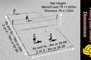 Uncover the Secrets of Beach Volleyball Court Dimensions: Insights and Revelations Volleyball Hub Your Guide to the Game You Love Play, Train, and Compete Uncover the Secrets of Beach Volleyball Court Dimensions: Insights and Revelations | Volleyball Hub Your Guide to the Game You Love Play, Train, and Compete