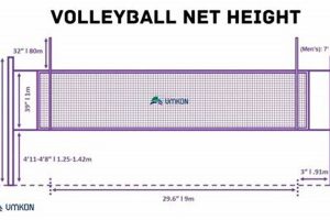 "Unveiling the Secrets: Discoveries and Insights into the Heights of Men's Volleyball Nets" Volleyball Hub Your Guide to the Game You Love Play, Train, and Compete "Unveiling the Secrets: Discoveries and Insights into the Heights of Men's Volleyball Nets" | Volleyball Hub Your Guide to the Game You Love Play, Train, and Compete