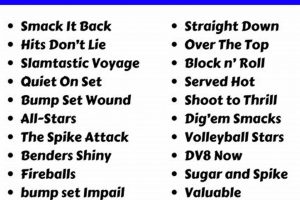 Uncover the Secrets to Unforgettable Sand Volleyball Team Names Volleyball Hub Your Guide to the Game You Love Play, Train, and Compete Uncover the Secrets to Unforgettable Sand Volleyball Team Names | Volleyball Hub Your Guide to the Game You Love Play, Train, and Compete