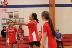 Unveiling the Secrets: Grand Canyon Volleyball Roster Unraveled Volleyball Hub Your Guide to the Game You Love Play, Train, and Compete Unveiling the Secrets: Grand Canyon Volleyball Roster Unraveled | Volleyball Hub Your Guide to the Game You Love Play, Train, and Compete