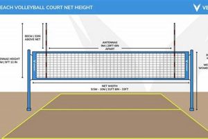 Unveiling the Secrets of Beach Volleyball Net Height: A Deep Dive Volleyball Hub Your Guide to the Game You Love Play, Train, and Compete Unveiling the Secrets of Beach Volleyball Net Height: A Deep Dive | Volleyball Hub Your Guide to the Game You Love Play, Train, and Compete