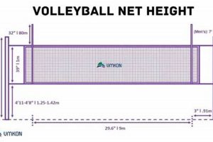 Uncover the Secrets: Delving into the Height of the Beach Volleyball Net Volleyball Hub Your Guide to the Game You Love Play, Train, and Compete Uncover the Secrets: Delving into the Height of the Beach Volleyball Net | Volleyball Hub Your Guide to the Game You Love Play, Train, and Compete