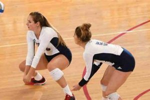 Discover the Winning Edge: Florida Atlantic University's Volleyball Roster Unveiled Volleyball Hub Your Guide to the Game You Love Play, Train, and Compete Discover the Winning Edge: Florida Atlantic University's Volleyball Roster Unveiled | Volleyball Hub Your Guide to the Game You Love Play, Train, and Compete