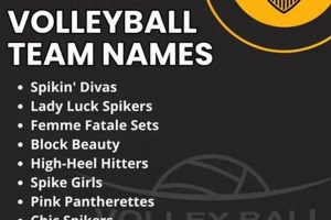 Unveiling Hilarious Coed Volleyball Team Names: Discover the Art of Laughter on the Court Volleyball Hub Your Guide to the Game You Love Play, Train, and Compete Unveiling Hilarious Coed Volleyball Team Names: Discover the Art of Laughter on the Court | Volleyball Hub Your Guide to the Game You Love Play, Train, and Compete