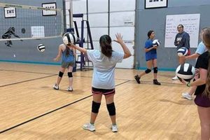 Volleyball Camps in Fort Worth: Uncover Hidden Gems and Level Up Your Game Volleyball Hub Your Guide to the Game You Love Play, Train, and Compete Volleyball Camps in Fort Worth: Uncover Hidden Gems and Level Up Your Game | Volleyball Hub Your Guide to the Game You Love Play, Train, and Compete