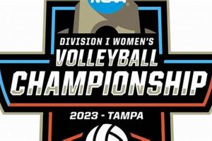 Unveiling the Road to Excellence: UCI Men's Volleyball Schedule 2024 Volleyball Hub Your Guide to the Game You Love Play, Train, and Compete Unveiling the Road to Excellence: UCI Men's Volleyball Schedule 2024 | Volleyball Hub Your Guide to the Game You Love Play, Train, and Compete