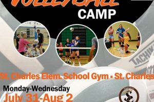 Discover the Secrets of Volleyball Excellence: Explore Minneapolis Volleyball Camps Volleyball Hub Your Guide to the Game You Love Play, Train, and Compete Discover the Secrets of Volleyball Excellence: Explore Minneapolis Volleyball Camps | Volleyball Hub Your Guide to the Game You Love Play, Train, and Compete