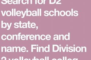 Discover the Best Division 2 Volleyball Colleges in Every State Volleyball Hub Your Guide to the Game You Love Play, Train, and Compete Discover the Best Division 2 Volleyball Colleges in Every State | Volleyball Hub Your Guide to the Game You Love Play, Train, and Compete