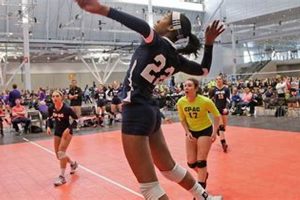 Dive into the Thrilling World of Volleyball Clubs in Connecticut: Uncover Hidden Gems and Unleash Your Potential Volleyball Hub Your Guide to the Game You Love Play, Train, and Compete Dive into the Thrilling World of Volleyball Clubs in Connecticut: Uncover Hidden Gems and Unleash Your Potential | Volleyball Hub Your Guide to the Game You Love Play, Train, and Compete