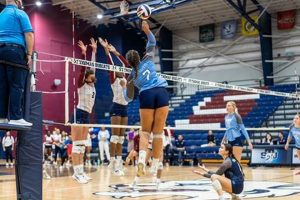Discover the Keiser Volleyball Roster: Uncover Team Dynamics and Player Prowess Volleyball Hub Your Guide to the Game You Love Play, Train, and Compete Discover the Keiser Volleyball Roster: Uncover Team Dynamics and Player Prowess | Volleyball Hub Your Guide to the Game You Love Play, Train, and Compete