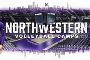 Uncover the Secrets of Elite Volleyball: Discoveries from Northwestern Volleyball Camps Volleyball Hub Your Guide to the Game You Love Play, Train, and Compete Uncover the Secrets of Elite Volleyball: Discoveries from Northwestern Volleyball Camps | Volleyball Hub Your Guide to the Game You Love Play, Train, and Compete