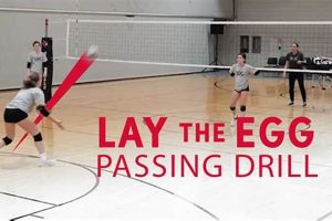 Unleash the Power of Team Drills in Volleyball: Discoveries and Insights for Teams Volleyball Hub Your Guide to the Game You Love Play, Train, and Compete Unleash the Power of Team Drills in Volleyball: Discoveries and Insights for Teams | Volleyball Hub Your Guide to the Game You Love Play, Train, and Compete