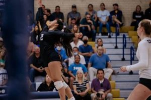 Unveiling the Secrets of El Paso Volleyball Clubs: Discover the Path to Volleyball Excellence Volleyball Hub Your Guide to the Game You Love Play, Train, and Compete Unveiling the Secrets of El Paso Volleyball Clubs: Discover the Path to Volleyball Excellence | Volleyball Hub Your Guide to the Game You Love Play, Train, and Compete