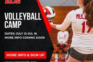 Unleash Your Volleyball Potential: Discover the Best Camps Near You Volleyball Hub Your Guide to the Game You Love Play, Train, and Compete Unleash Your Volleyball Potential: Discover the Best Camps Near You | Volleyball Hub Your Guide to the Game You Love Play, Train, and Compete