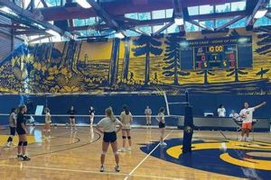 Discover the Secrets to Volleyball Success at UC Santa Cruz Volleyball Hub Your Guide to the Game You Love Play, Train, and Compete Discover the Secrets to Volleyball Success at UC Santa Cruz | Volleyball Hub Your Guide to the Game You Love Play, Train, and Compete