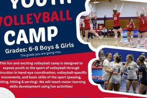Uncover the Secrets to Elite Volleyball: Discover UCLA Volleyball Camps 2024 Volleyball Hub Your Guide to the Game You Love Play, Train, and Compete Uncover the Secrets to Elite Volleyball: Discover UCLA Volleyball Camps 2024 | Volleyball Hub Your Guide to the Game You Love Play, Train, and Compete