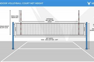 Volleyball Net Height Secrets Revealed: Uncover the Truth About Men and Women's Nets Volleyball Hub Your Guide to the Game You Love Play, Train, and Compete Volleyball Net Height Secrets Revealed: Uncover the Truth About Men and Women's Nets | Volleyball Hub Your Guide to the Game You Love Play, Train, and Compete