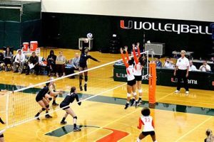 Unlock the Secrets of Miami's Volleyball Club Scene Volleyball Hub Your Guide to the Game You Love Play, Train, and Compete Unlock the Secrets of Miami's Volleyball Club Scene | Volleyball Hub Your Guide to the Game You Love Play, Train, and Compete