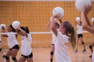 Discover the Secrets to a Thrilling Volleyball Experience in San Diego Volleyball Hub Your Guide to the Game You Love Play, Train, and Compete Discover the Secrets to a Thrilling Volleyball Experience in San Diego | Volleyball Hub Your Guide to the Game You Love Play, Train, and Compete