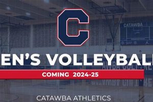 Uncover Hidden Gems and Insights: Dive into the World of Catawba College Men's Volleyball Volleyball Hub Your Guide to the Game You Love Play, Train, and Compete Uncover Hidden Gems and Insights: Dive into the World of Catawba College Men's Volleyball | Volleyball Hub Your Guide to the Game You Love Play, Train, and Compete