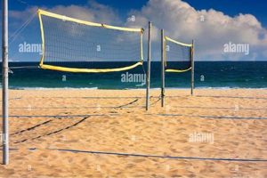 Discover the Secrets of the Perfect Volleyball Net for the Beach Volleyball Hub Your Guide to the Game You Love Play, Train, and Compete Discover the Secrets of the Perfect Volleyball Net for the Beach | Volleyball Hub Your Guide to the Game You Love Play, Train, and Compete