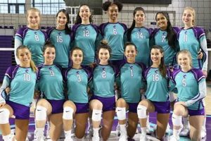 Unveiling the FSW Volleyball Roster: A Window into Talent and Success! Volleyball Hub Your Guide to the Game You Love Play, Train, and Compete Unveiling the FSW Volleyball Roster: A Window into Talent and Success! | Volleyball Hub Your Guide to the Game You Love Play, Train, and Compete