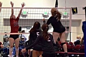 Uncover the Winning Edge: Felician University Volleyball Unveiled Volleyball Hub Your Guide to the Game You Love Play, Train, and Compete Uncover the Winning Edge: Felician University Volleyball Unveiled | Volleyball Hub Your Guide to the Game You Love Play, Train, and Compete
