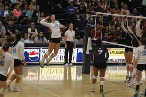 Unlock Your Volleyball Potential: Discoveries Await at Sonoma State's Camp Volleyball Hub Your Guide to the Game You Love Play, Train, and Compete Unlock Your Volleyball Potential: Discoveries Await at Sonoma State's Camp | Volleyball Hub Your Guide to the Game You Love Play, Train, and Compete