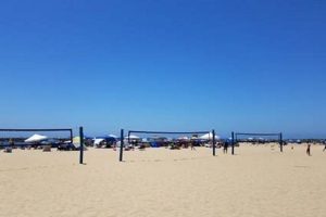 Unlock the Secrets of Beach Volleyball in Newport Beach: A Haven for Players and Spectators Alike Volleyball Hub Your Guide to the Game You Love Play, Train, and Compete Unlock the Secrets of Beach Volleyball in Newport Beach: A Haven for Players and Spectators Alike | Volleyball Hub Your Guide to the Game You Love Play, Train, and Compete