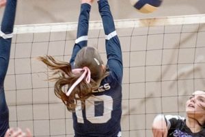 Uncover the Secrets of 1a State Volleyball: A Guide to Success Volleyball Hub Your Guide to the Game You Love Play, Train, and Compete Uncover the Secrets of 1a State Volleyball: A Guide to Success | Volleyball Hub Your Guide to the Game You Love Play, Train, and Compete
