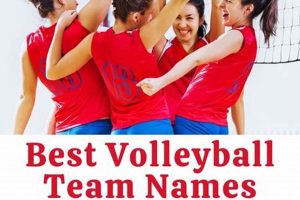 Unleash the Power of Unforgettable Beach Volleyball Team Names: Discoveries and Insights Await Volleyball Hub Your Guide to the Game You Love Play, Train, and Compete Unleash the Power of Unforgettable Beach Volleyball Team Names: Discoveries and Insights Await | Volleyball Hub Your Guide to the Game You Love Play, Train, and Compete