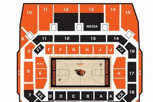 Oregon State University Volleyball: Uncover the Best Seats, Discounts, and Gameday Tips Volleyball Hub Your Guide to the Game You Love Play, Train, and Compete Oregon State University Volleyball: Uncover the Best Seats, Discounts, and Gameday Tips | Volleyball Hub Your Guide to the Game You Love Play, Train, and Compete