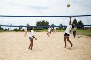 Uncover the Secrets of Camp Beach Volleyball: A Comprehensive Guide Volleyball Hub Your Guide to the Game You Love Play, Train, and Compete Uncover the Secrets of Camp Beach Volleyball: A Comprehensive Guide | Volleyball Hub Your Guide to the Game You Love Play, Train, and Compete