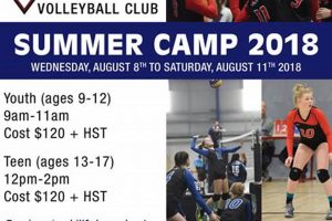 Uncover the Secrets to Volleyball Mastery at Vision Volleyball Camp Volleyball Hub Your Guide to the Game You Love Play, Train, and Compete Uncover the Secrets to Volleyball Mastery at Vision Volleyball Camp | Volleyball Hub Your Guide to the Game You Love Play, Train, and Compete