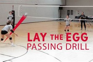 Unleash Your Volleyball Potential: Discover Game-Changing Camp Drills Volleyball Hub Your Guide to the Game You Love Play, Train, and Compete Unleash Your Volleyball Potential: Discover Game-Changing Camp Drills | Volleyball Hub Your Guide to the Game You Love Play, Train, and Compete