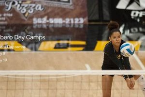 Unleash Your Volleyball Potential: Discover the Secrets of Long Beach State Volleyball Camp Volleyball Hub Your Guide to the Game You Love Play, Train, and Compete Unleash Your Volleyball Potential: Discover the Secrets of Long Beach State Volleyball Camp | Volleyball Hub Your Guide to the Game You Love Play, Train, and Compete