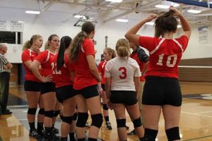 Unveiling the Secrets of Slippery Rock's Volleyball Roster: Discoveries and Insights | Volleyball Hub Your Guide to the Game You Love Play, Train, and Compete