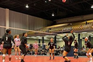 Uncover Tampa's Elite Volleyball Clubs: A Journey to Skill and Success Volleyball Hub Your Guide to the Game You Love Play, Train, and Compete Uncover Tampa's Elite Volleyball Clubs: A Journey to Skill and Success | Volleyball Hub Your Guide to the Game You Love Play, Train, and Compete