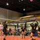 Uncover Tampa's Elite Volleyball Clubs: A Journey to Skill and Success | Volleyball Hub Your Guide to the Game You Love Play, Train, and Compete