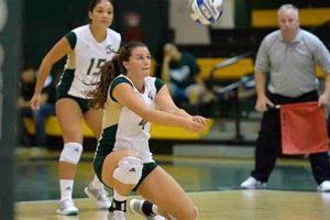 Discover the Secrets of Volleyball Excellence in Sacramento Volleyball Hub Your Guide to the Game You Love Play, Train, and Compete Discover the Secrets of Volleyball Excellence in Sacramento | Volleyball Hub Your Guide to the Game You Love Play, Train, and Compete