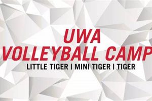 Discover Uncharted Horizons in University of West Alabama Volleyball Volleyball Hub Your Guide to the Game You Love Play, Train, and Compete Discover Uncharted Horizons in University of West Alabama Volleyball | Volleyball Hub Your Guide to the Game You Love Play, Train, and Compete